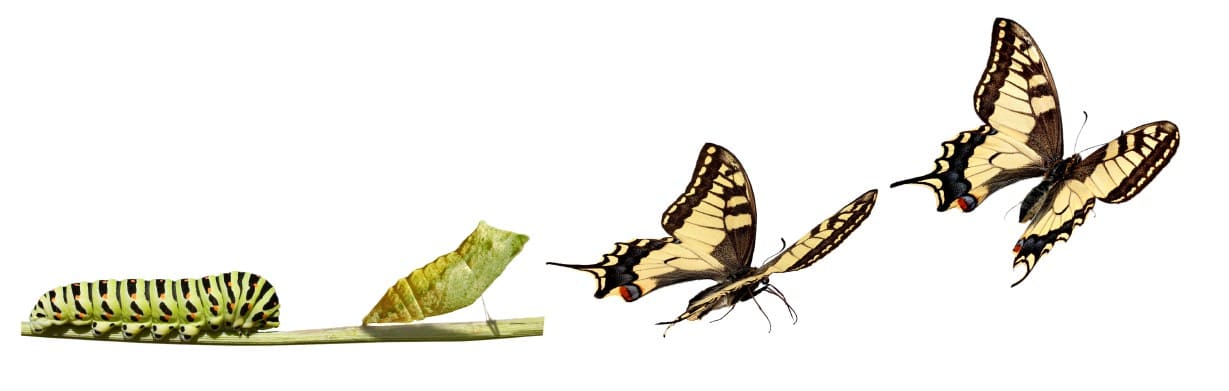 The changing face of business