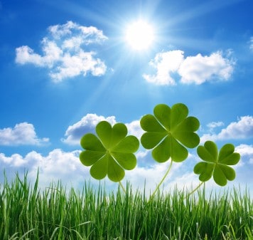 good luck clovers